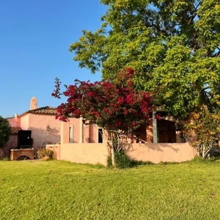 Rural Paradise In Almancil Vakantiehuis *