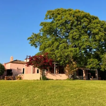 Rural Paradise In Almancil Vakantiehuis Bicas