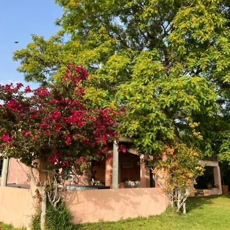 Rural Paradise In Almancil Vakantiehuis *